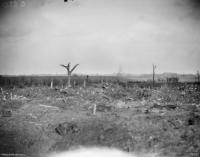 Backgrounds (Source: Australian War Memorial